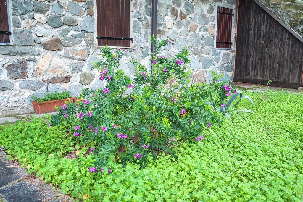 Due Pini Apartamento Corniglia Exterior foto